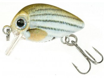 Wobler JAXON Atract Pixel 2.5cm I