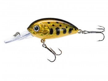 Wobler JAXON Atract Aris 4.0cm B