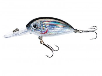 Wobler JAXON Atract Aris 4.0cm D