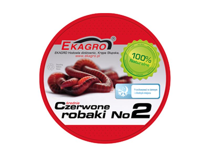 PRZYN�TA �YWA D�d�ownica Robak Czerwony Nr 2