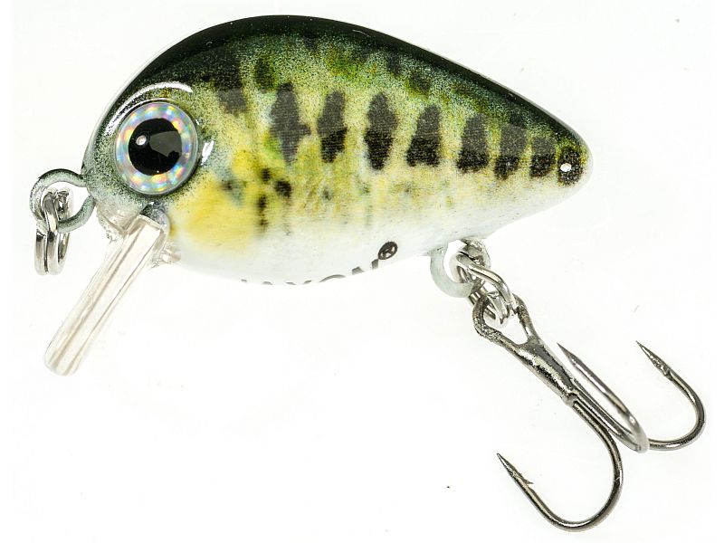 Wobler JAXON Atract Pixel 2.5cm B