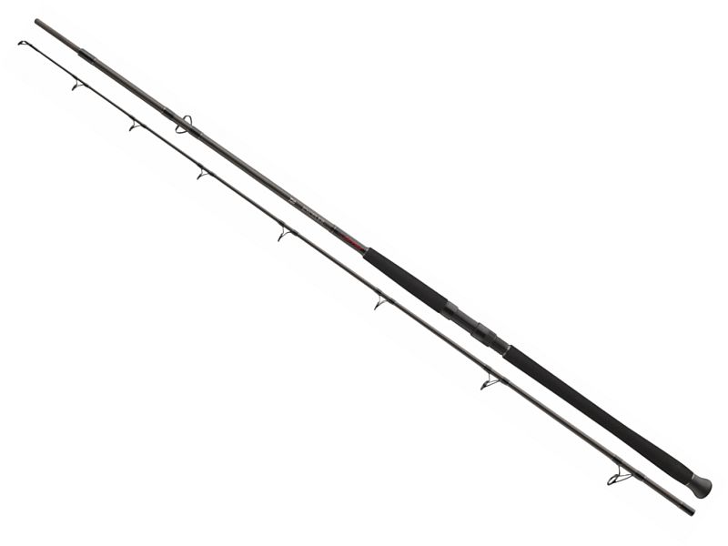 W�dka DAIWA Exceler CatFish Boje 300/200-600g